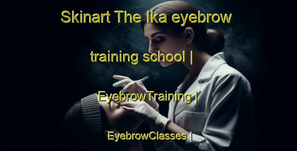 Skinart The Ika eyebrow training school | EyebrowTraining | EyebrowClasses | SkinartTraining-Pakistan